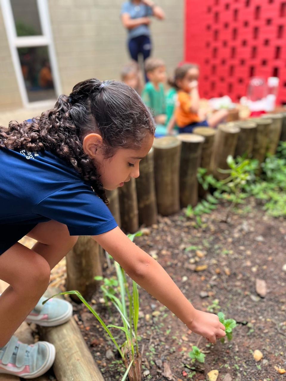 Educação Infantil