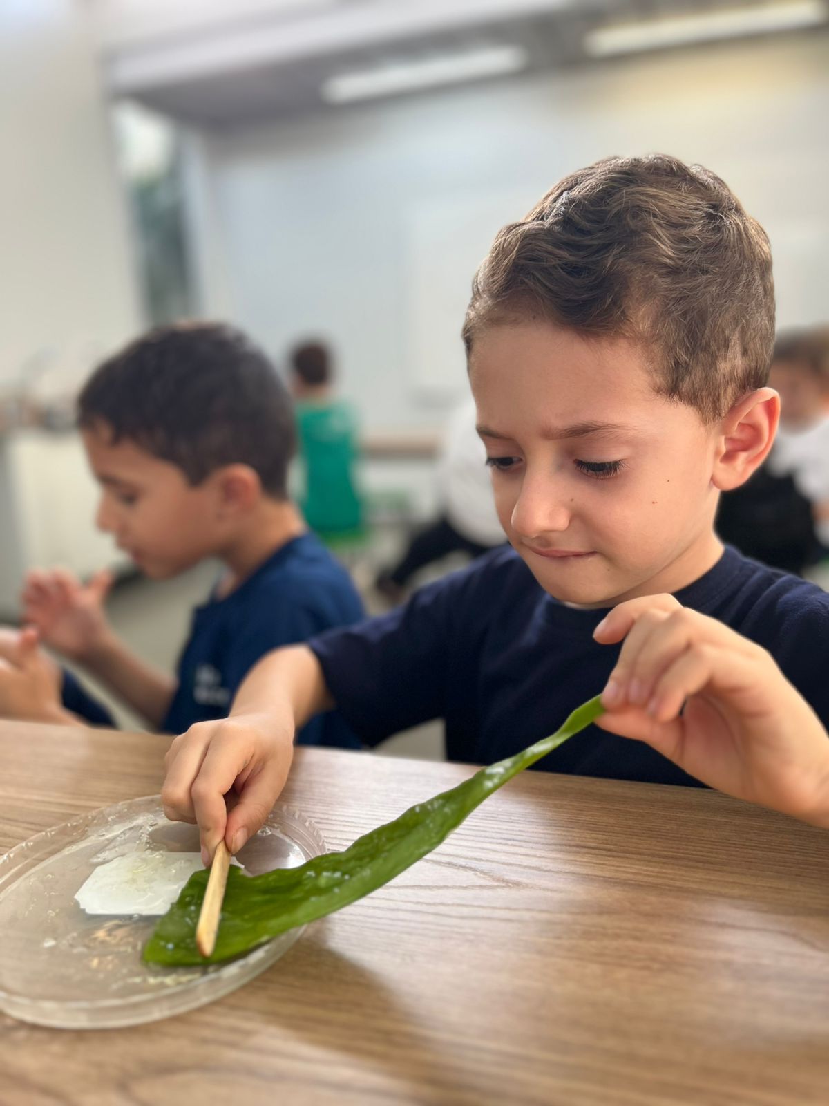 Escola Florescer